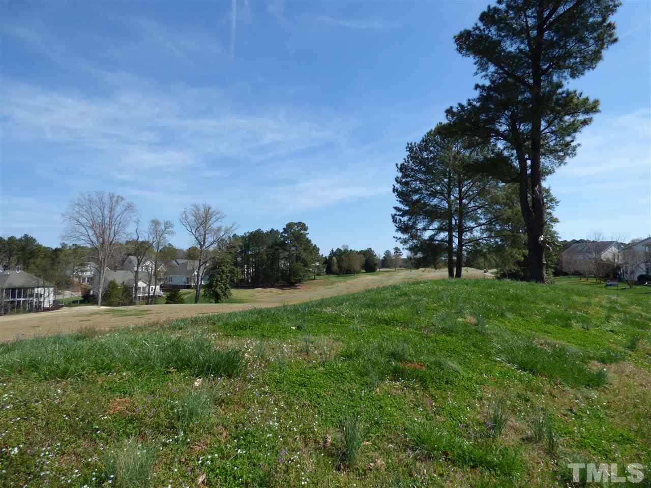 170 Ryder Cup Circle Raleigh, NC 27603 - Photo 23 of 23 a view of grassy field with trees