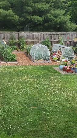 $249,900 | 426 South Webster Street, Bellevue, MI 49021