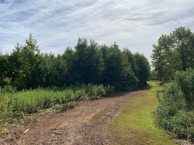 D Cheriton Cross Road, Unit D Cape Charles, VA 23310 - Photo 15 of 37