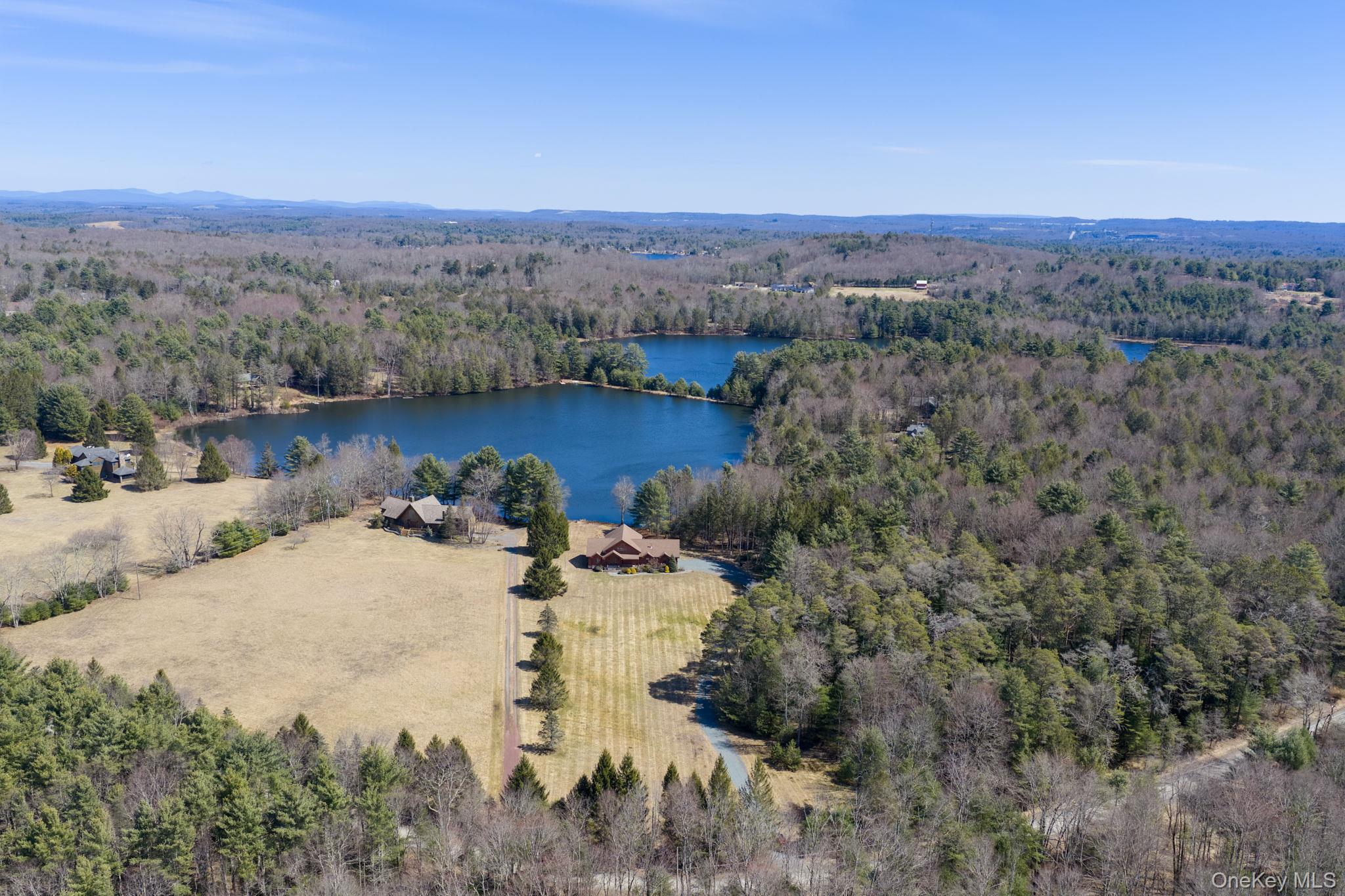 58 Deer Meadow Road White Lake, NY 12786 - Photo 33 of 50 an aerial view of a house with a yard