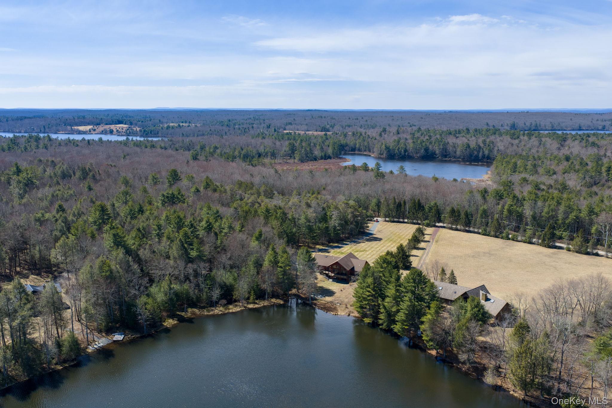 58 Deer Meadow Road White Lake, NY 12786 - Photo 37 of 50 an aerial view of a house with a garden and lake view