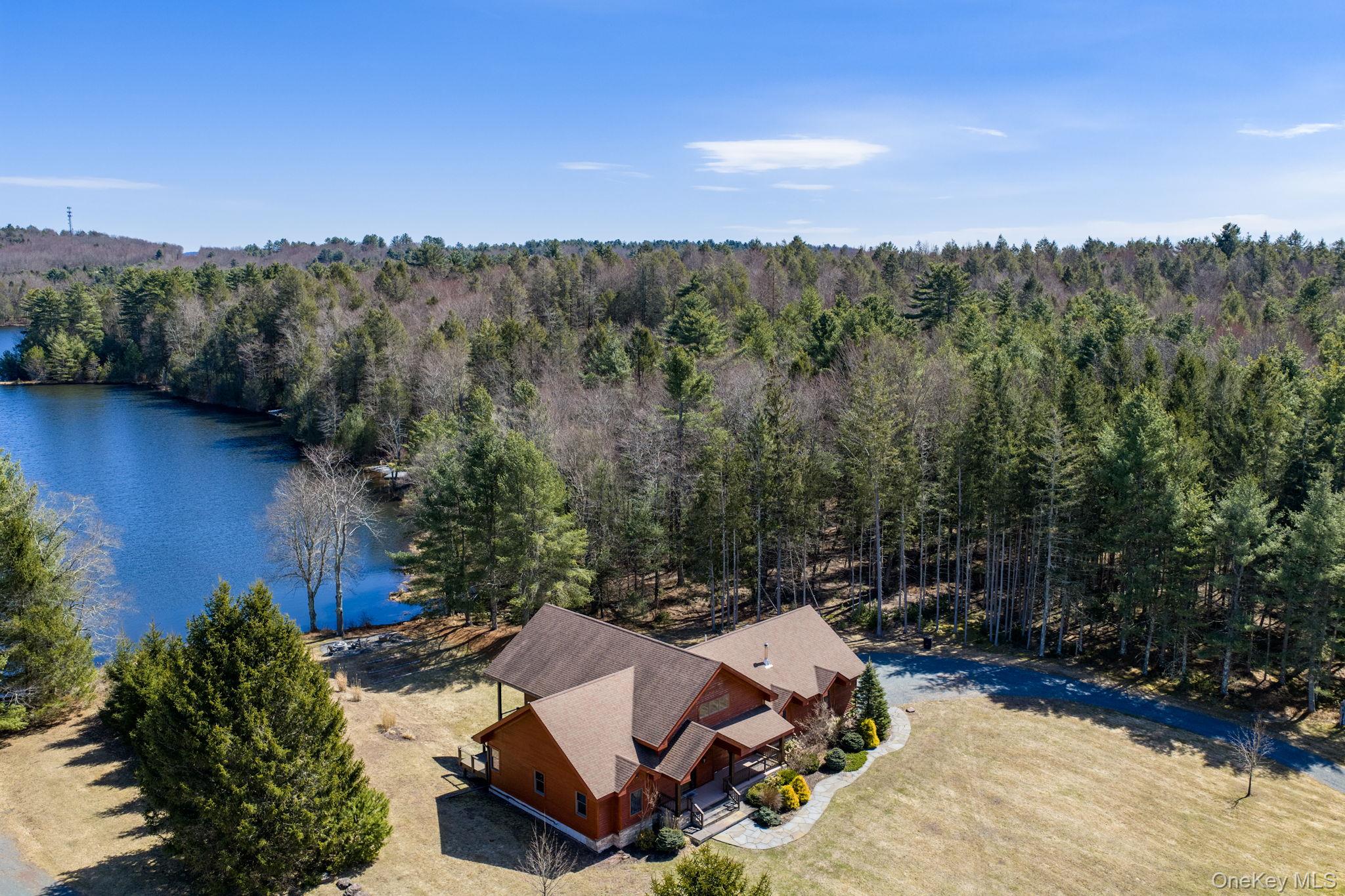 58 Deer Meadow Road White Lake, NY 12786 - Photo 46 of 50 an aerial view of a house with mountain view