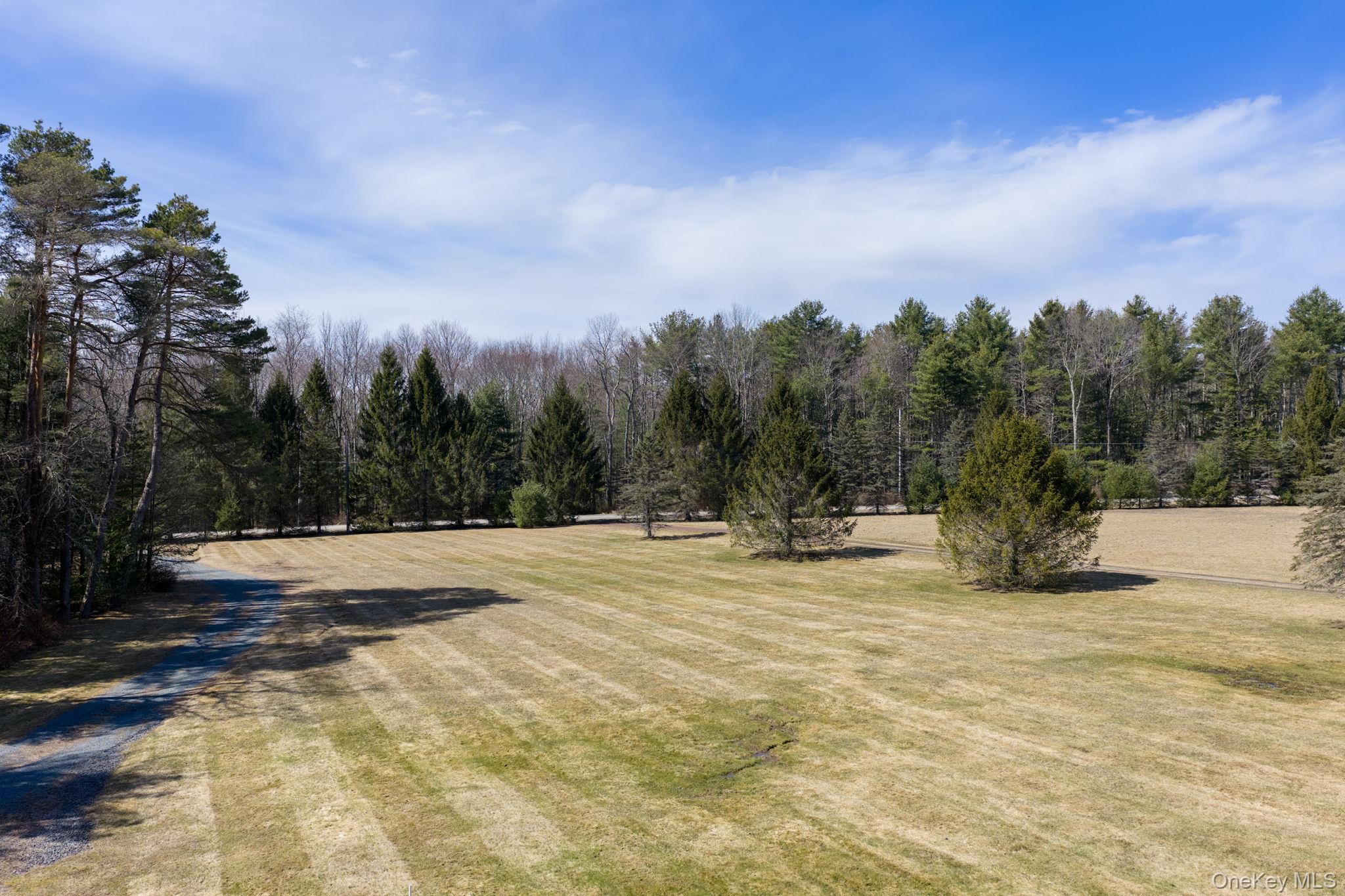 58 Deer Meadow Road White Lake, NY 12786 - Photo 50 of 50 a view of a house with a yard