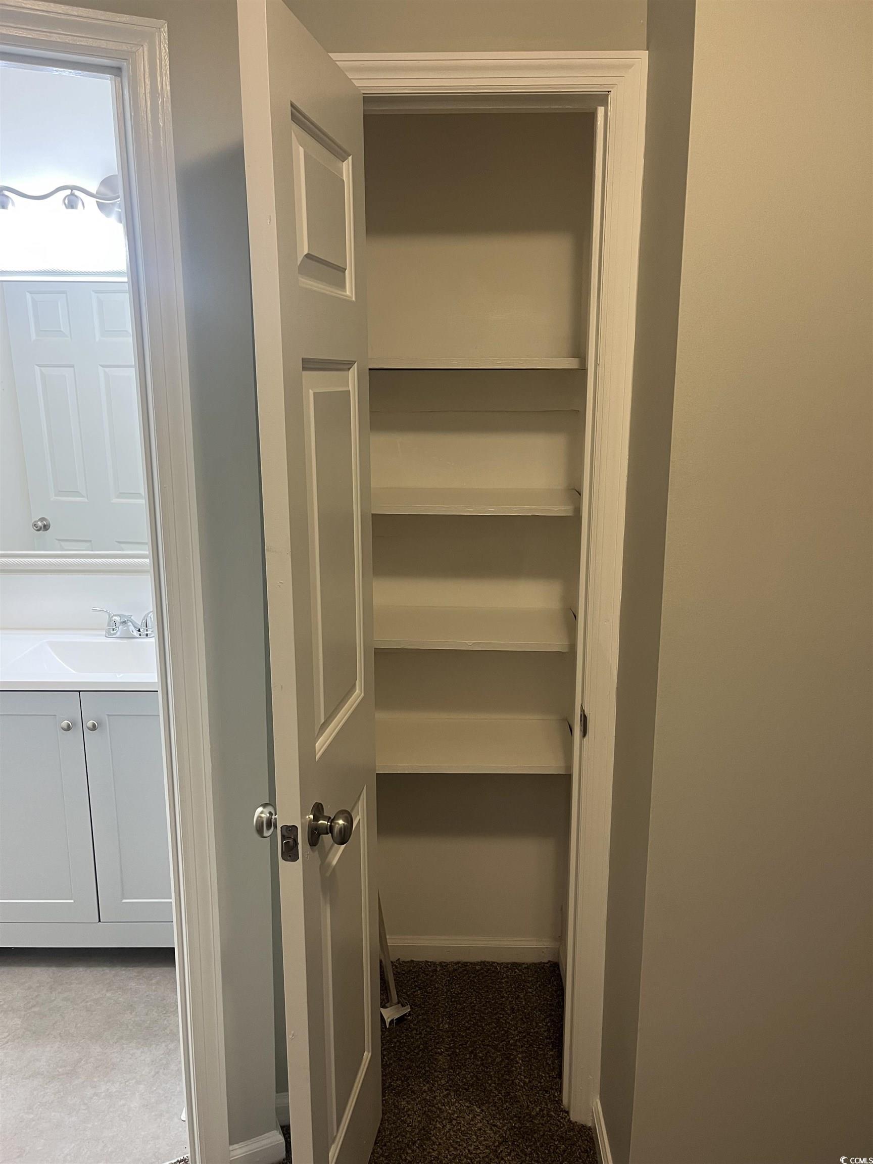600 65th Avenue North, Unit 7 Myrtle Beach, SC 29572 - Photo 26 of 29 Closet featuring a sink