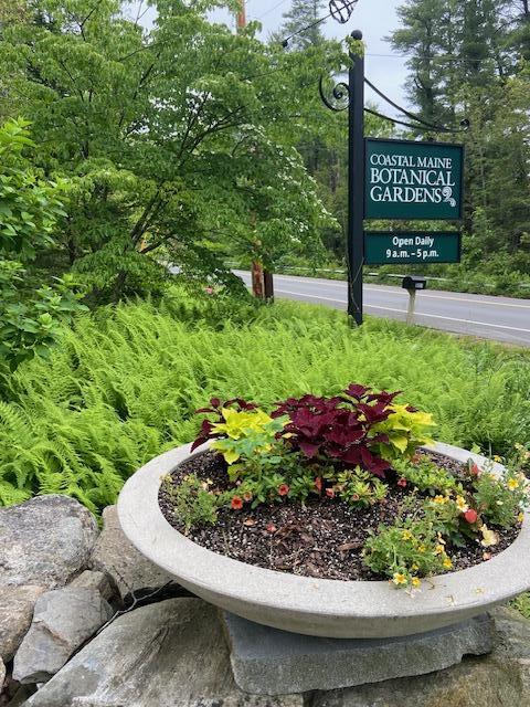 167 Knickerbocker Road Boothbay, ME 04537 - Photo 73 of 73 IMG_3361