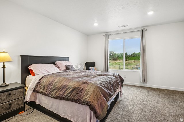 8631 Patron Way Magna, UT 84044 - Photo 24 of 44