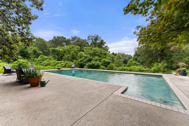 a view of swimming pool with outdoor seating and plants