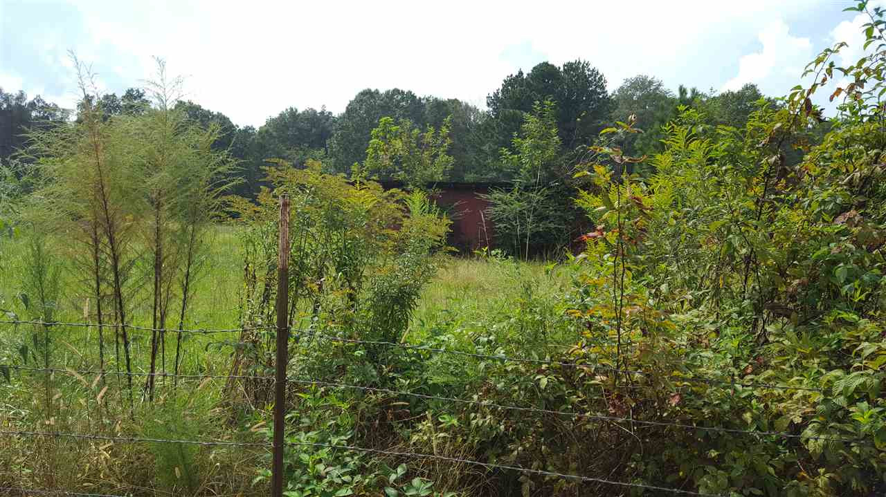9950 Clifton Road Forest, MS 39074 - Photo 3 of 15 Photo 3