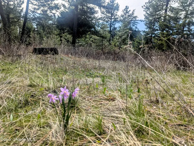 $196,460 | 3 Lot, Worley, ID 83876