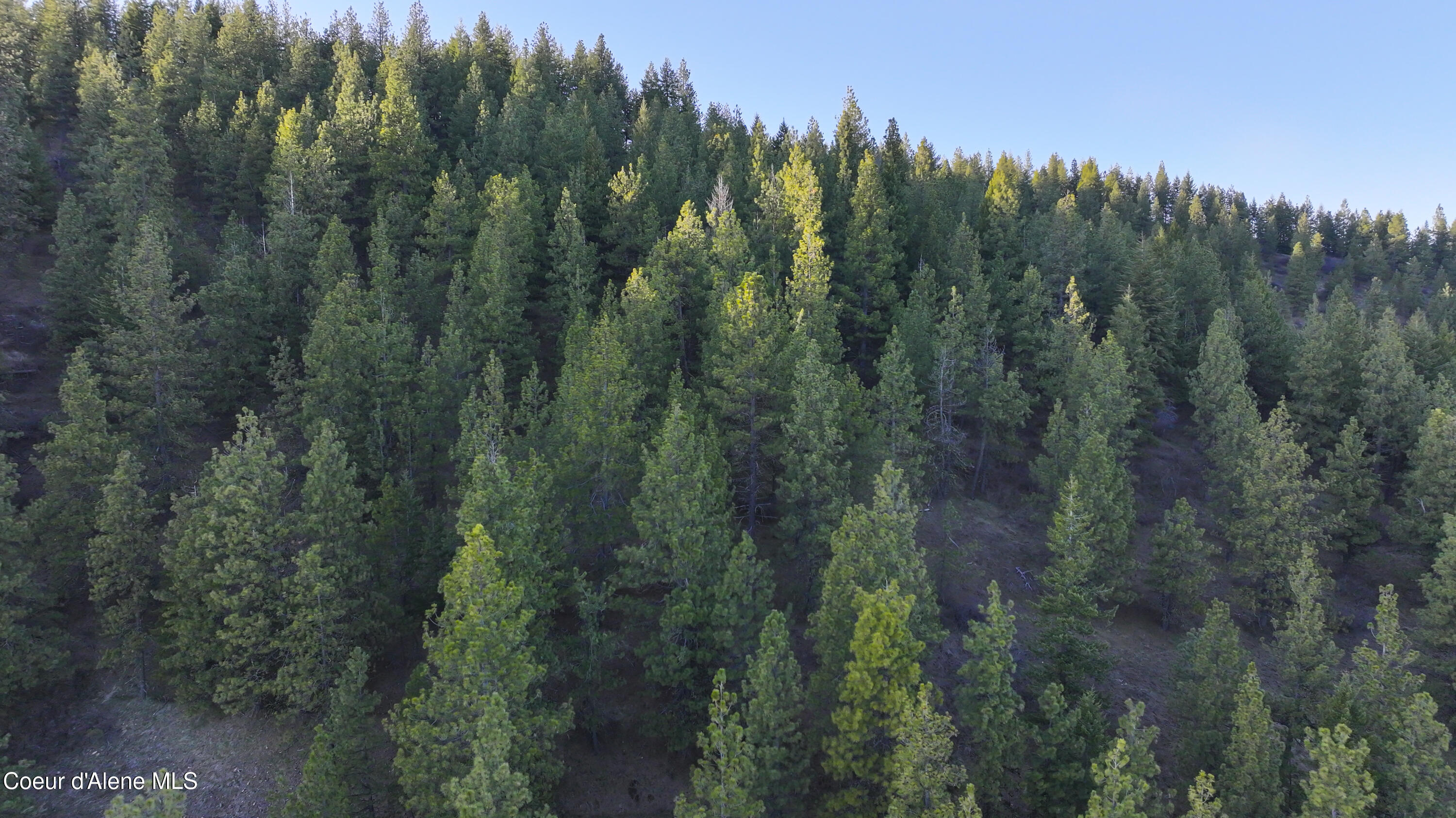 3 Lot Worley, ID 83876 - Photo 14 of 17 Sunny Slopes Worley0044