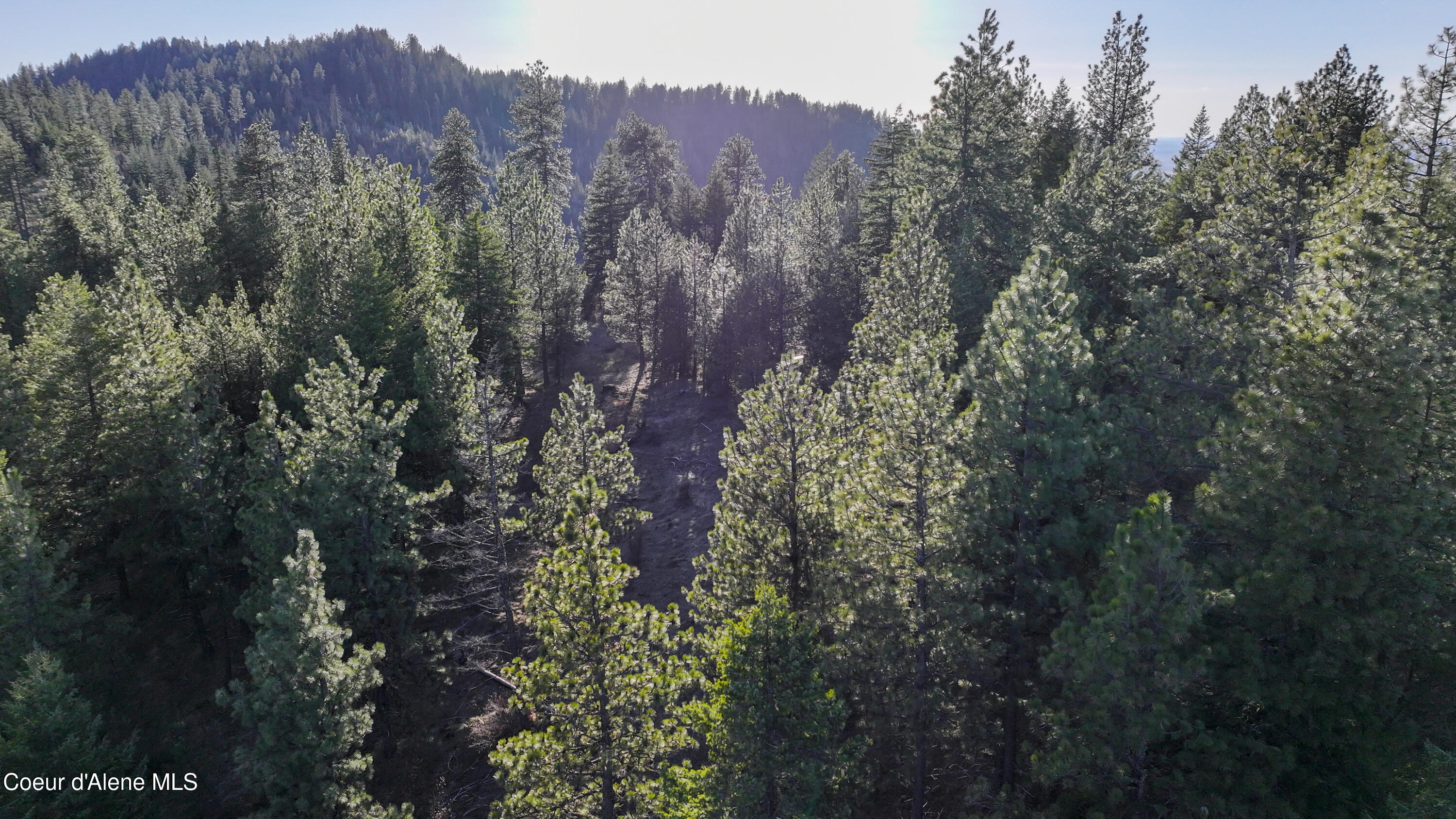 3 Lot Worley, ID 83876 - Photo 15 of 17 Sunny Slopes Worley0037