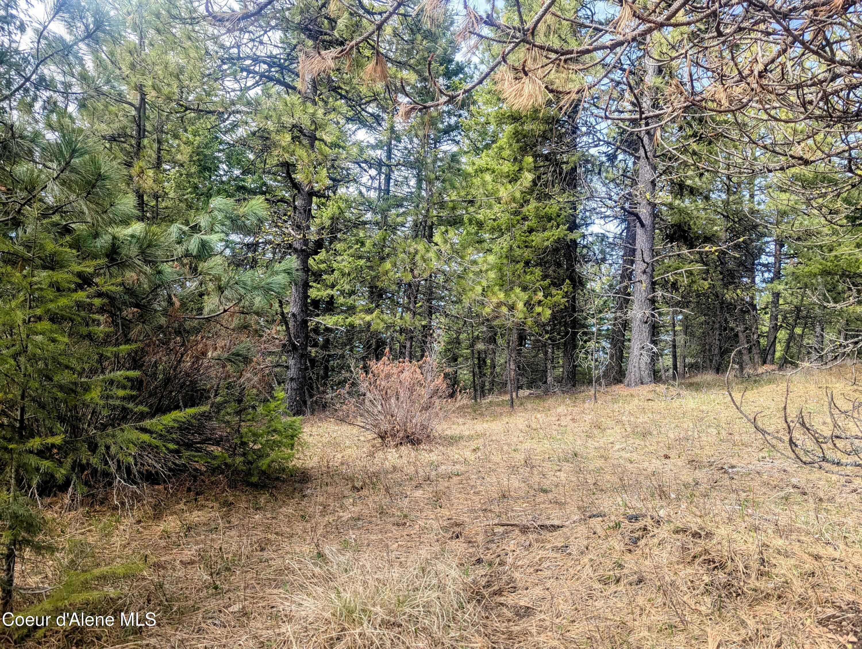 3 Lot Worley, ID 83876 - Photo 16 of 17 PXL_20250405_210636897~2