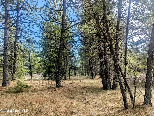 $196,460 | 3 Lot, Worley, ID 83876