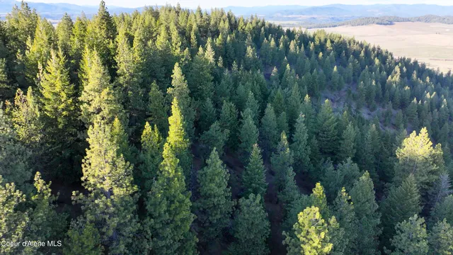 $196,460 | 3 Lot, Worley, ID 83876