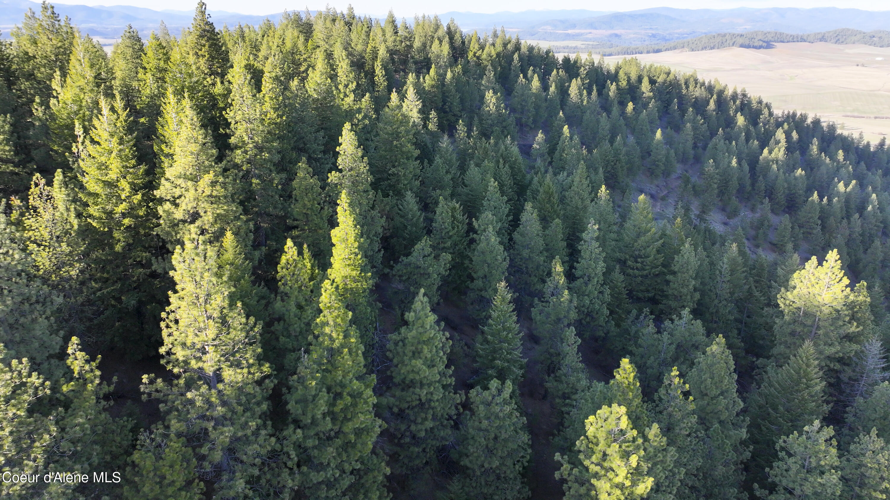 3 Lot Worley, ID 83876 - Photo 4 of 17 Sunny Slopes Worley0040