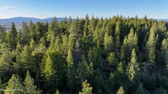 $196,460 | 3 Lot, Worley, ID 83876