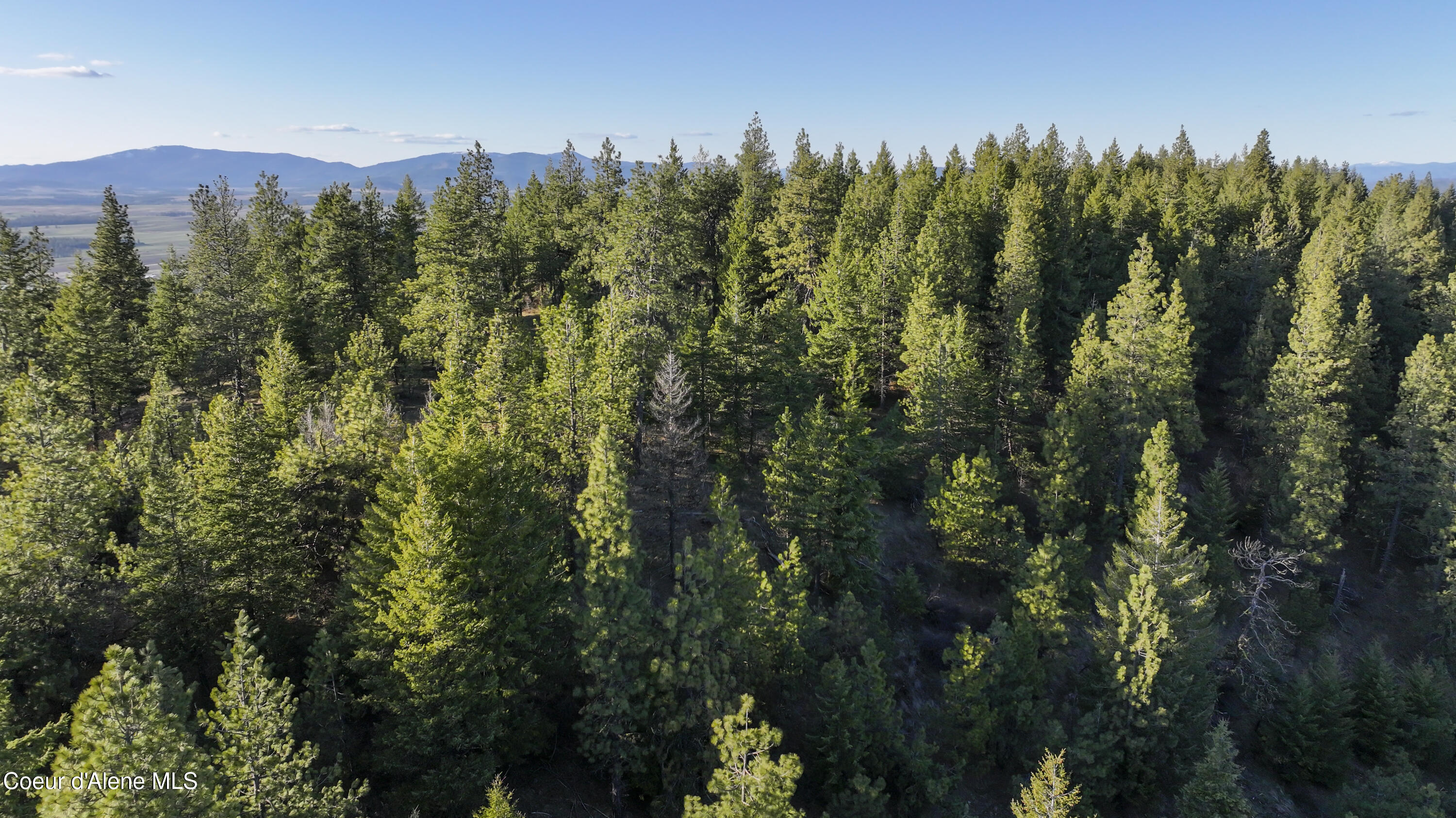 3 Lot Worley, ID 83876 - Photo 6 of 17 Sunny Slopes Worley0038