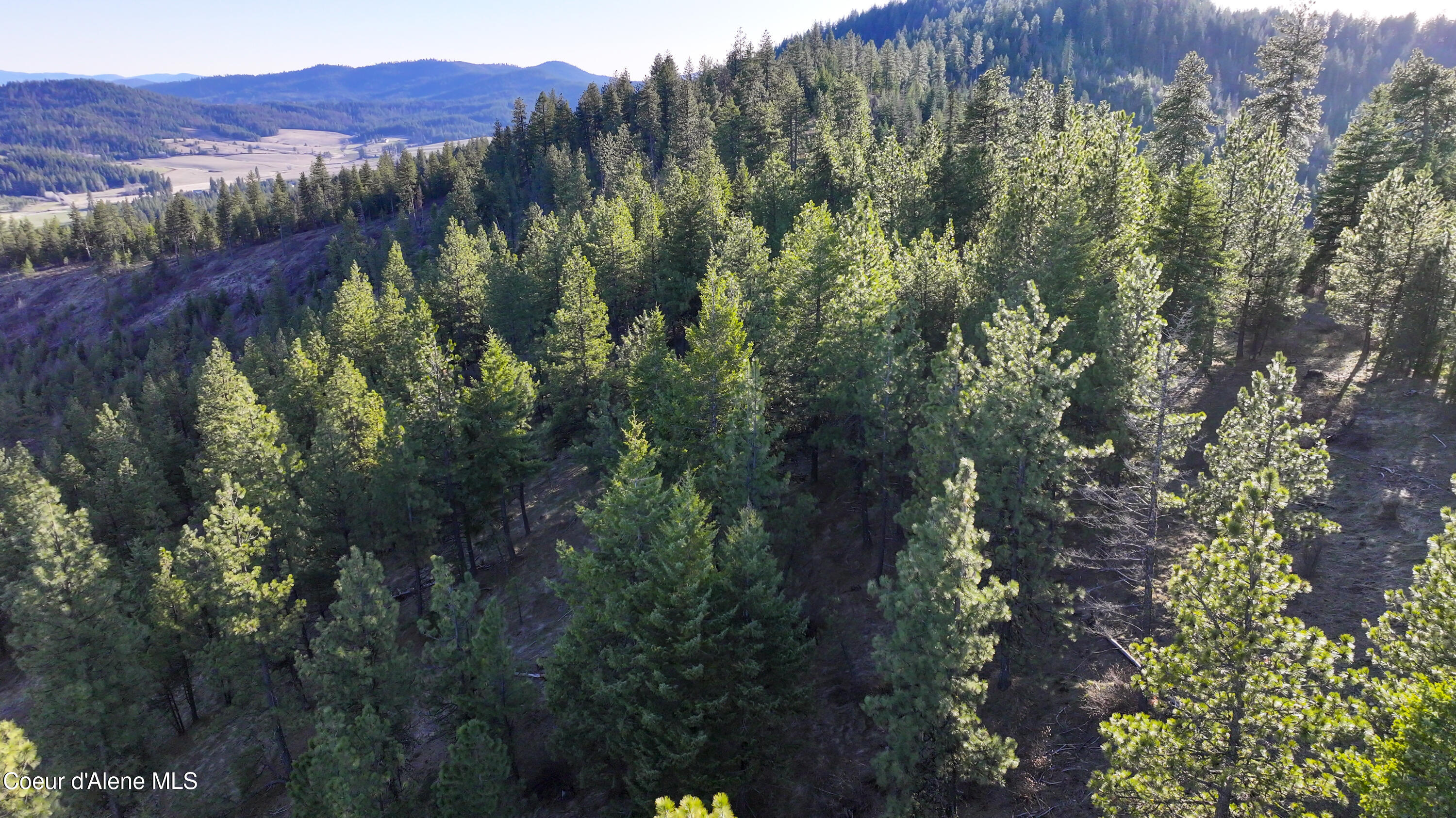 3 Lot Worley, ID 83876 - Photo 7 of 17 Sunny Slopes Worley0036