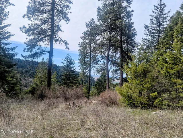 $196,460 | 3 Lot, Worley, ID 83876