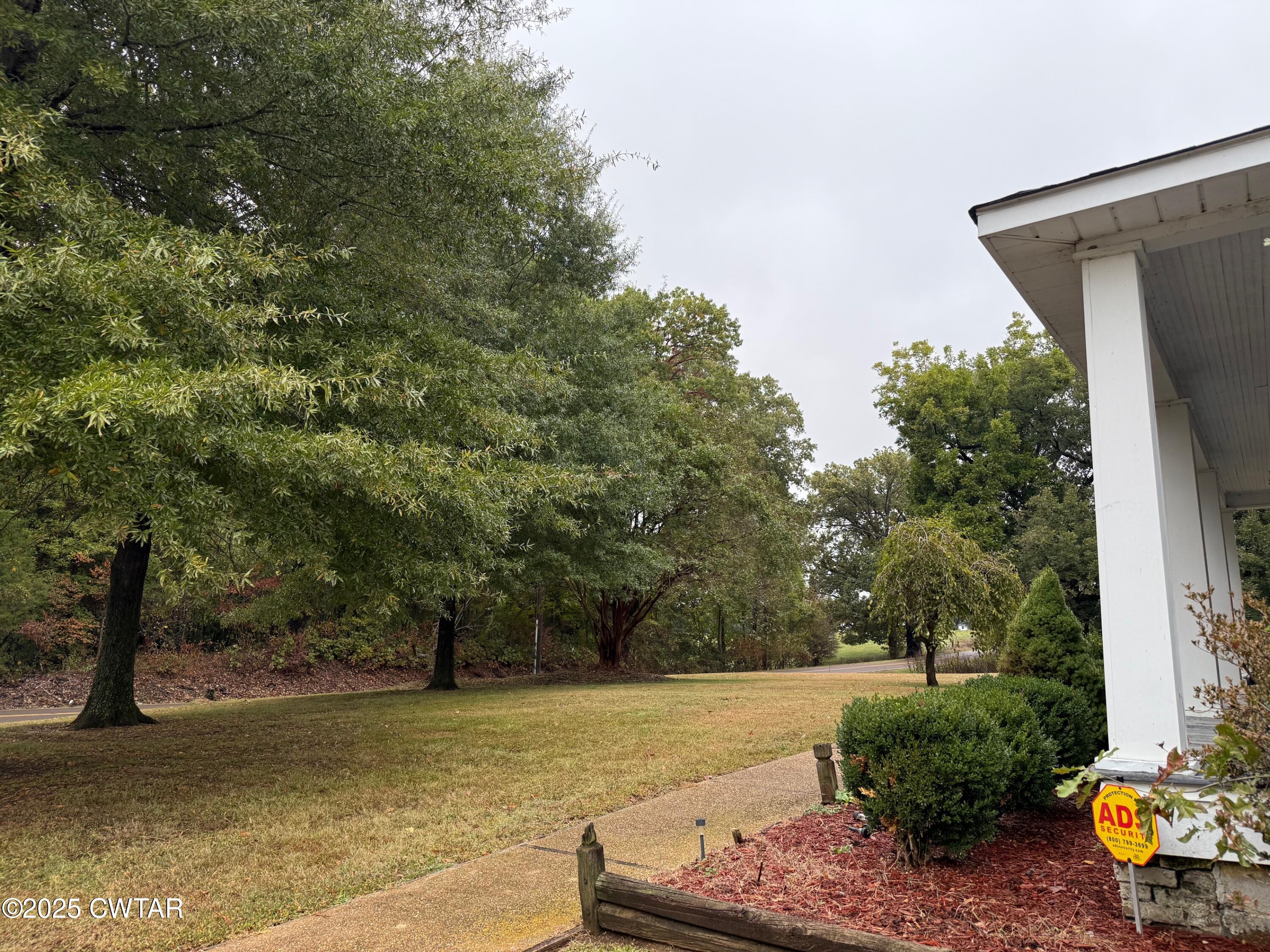 3794 Roellen Newbern Road Newbern, TN 38059 - Photo 14 of 25 a view of a yard with an outdoor space