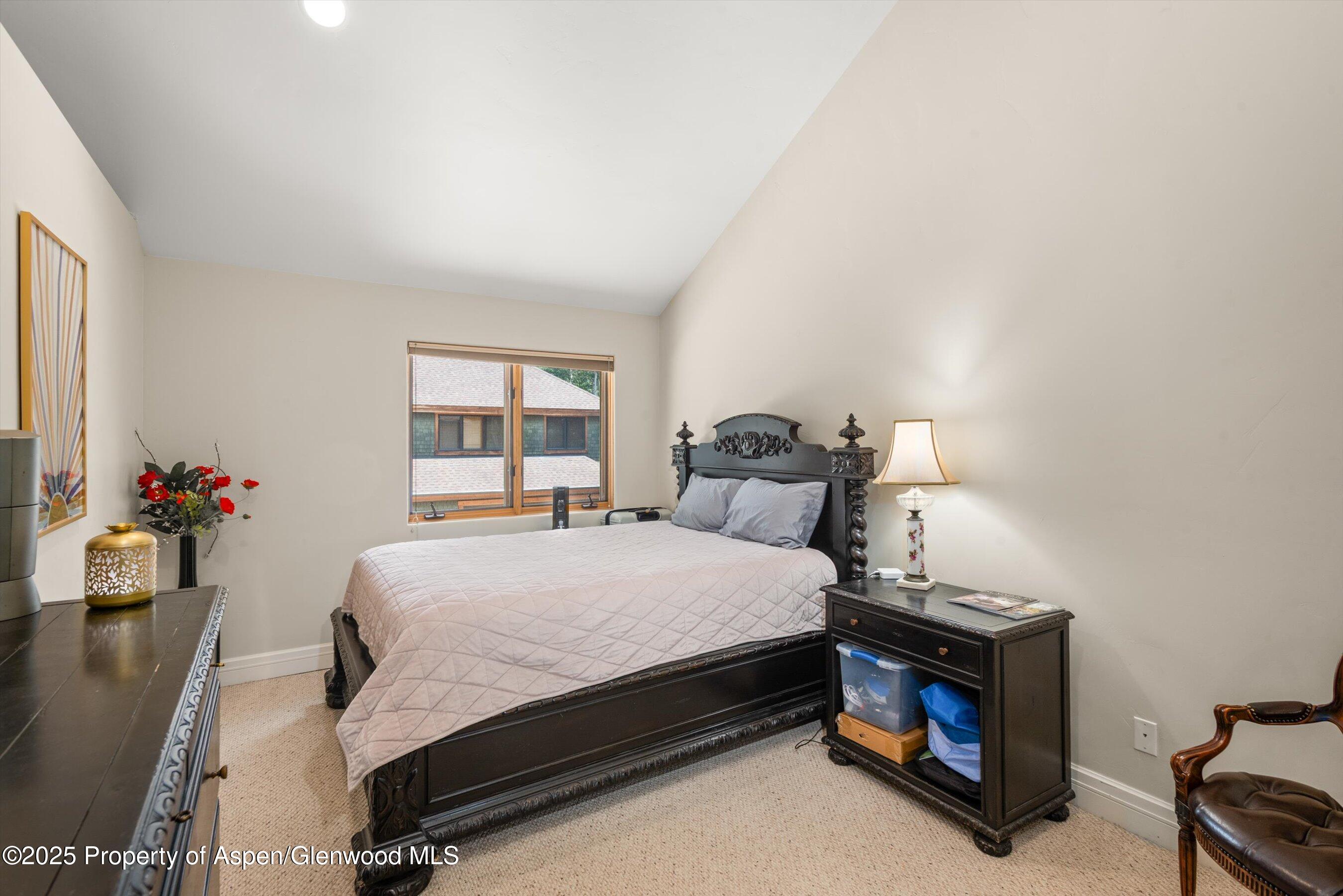 315 Summerset Lane, Unit A Basalt, CO 81621 - Photo 12 of 18 a bedroom with a bed and a potted plant