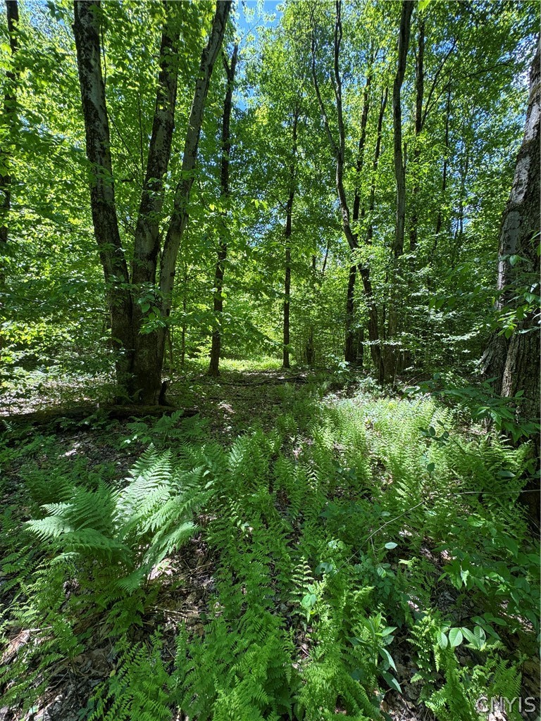 98 Wooliver Road Orwell, NY 13144 - Photo 7 of 11