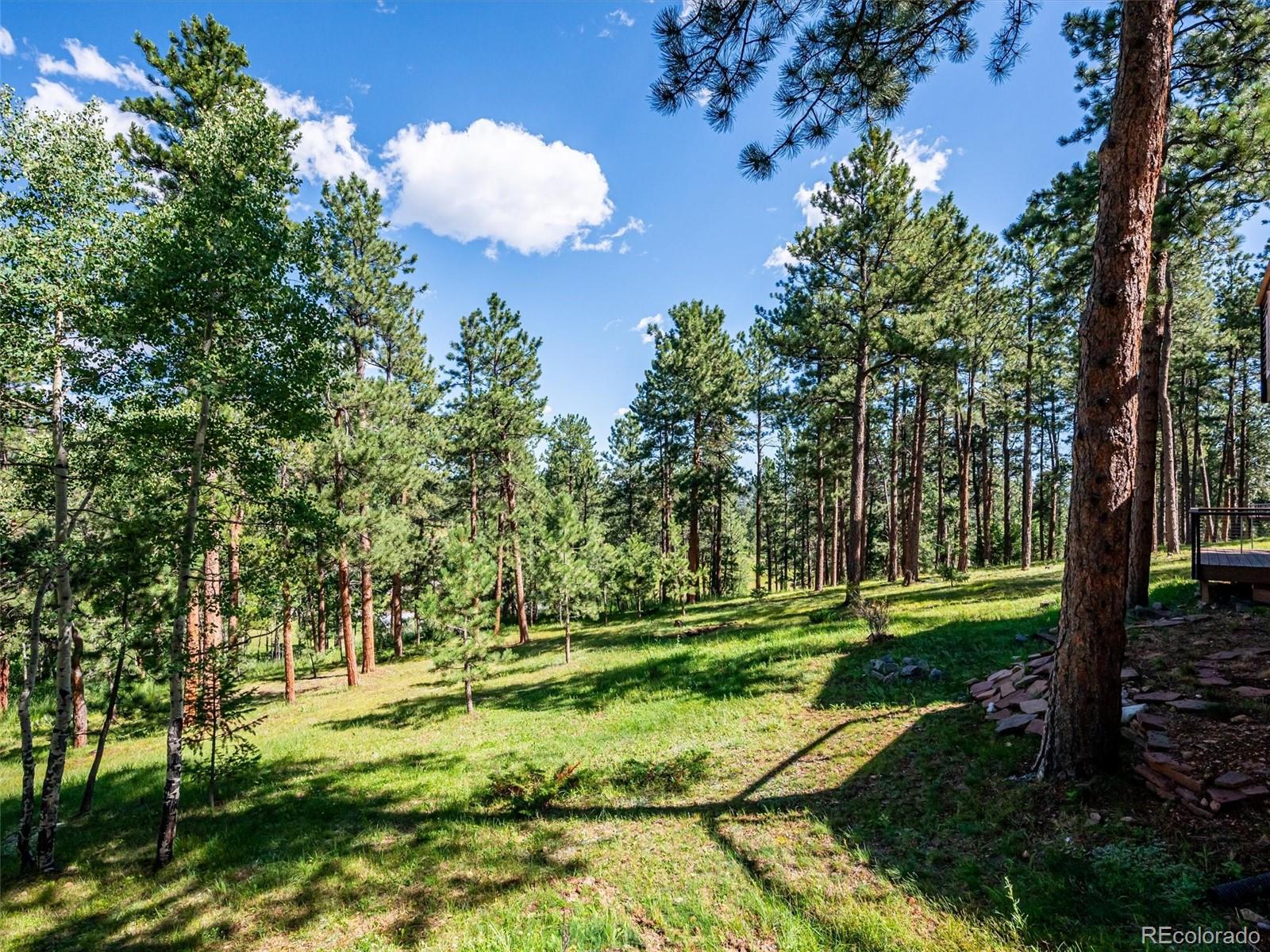 29991 Dorothy Road Evergreen, CO 80439 - Photo 30 of 35 Gallery Image 30
