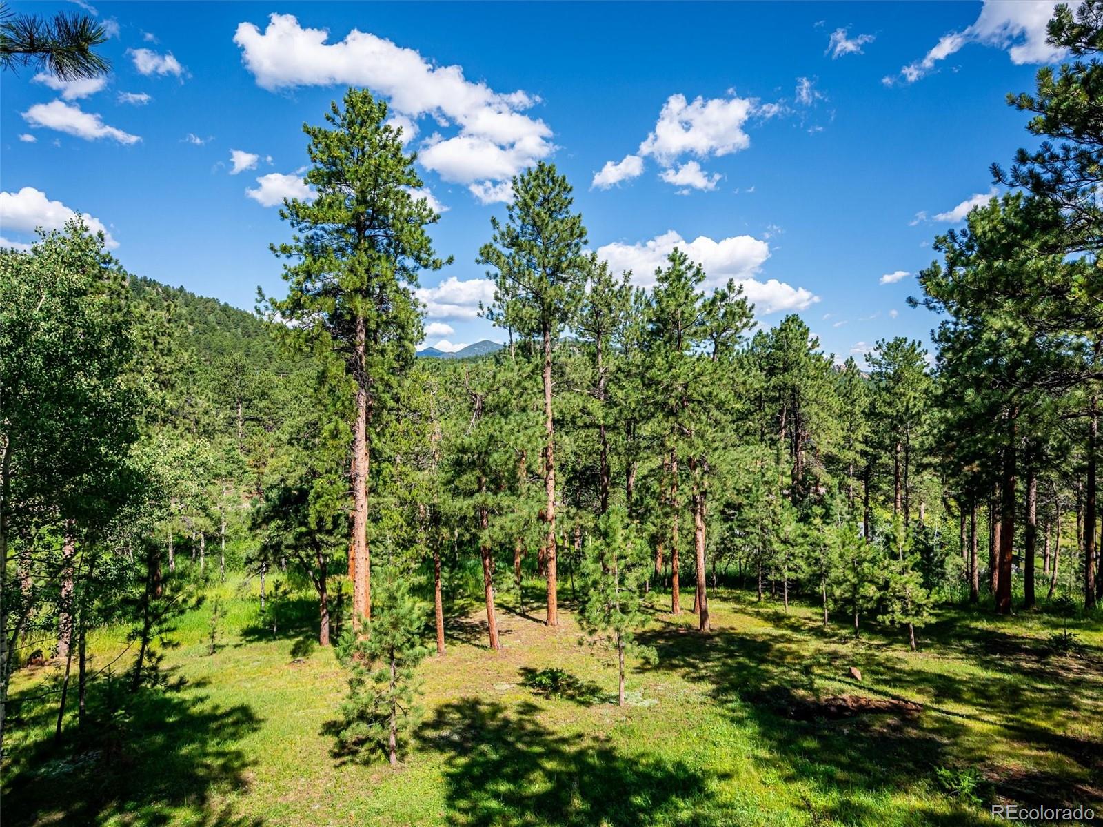 29991 Dorothy Road Evergreen, CO 80439 - Photo 34 of 35 Gallery Image 34