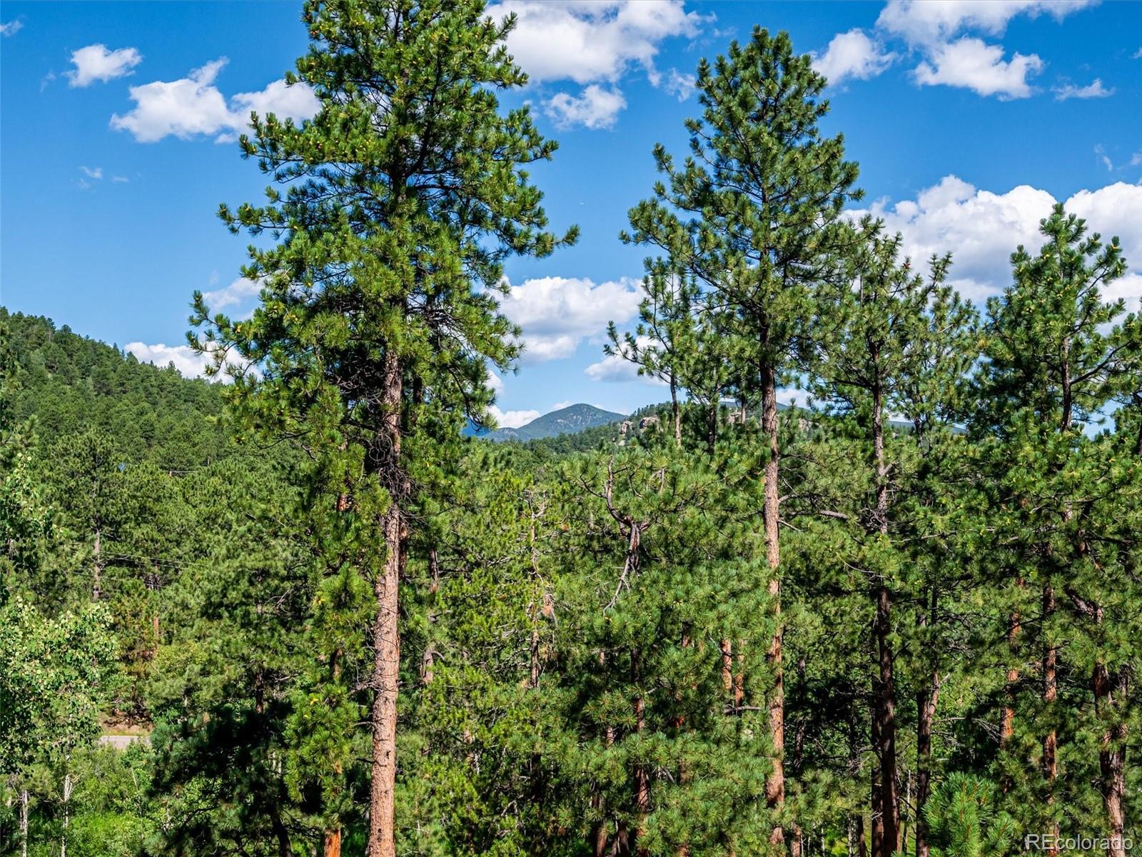 29991 Dorothy Road Evergreen, CO 80439 - Photo 4 of 35 Gallery Image 4