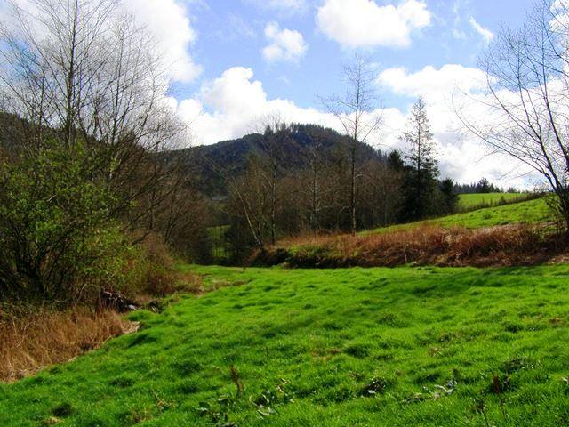 Lot 40 Skyview Road Tillamook, OR 97141 - Photo 12 of 24 P3180263.JPG