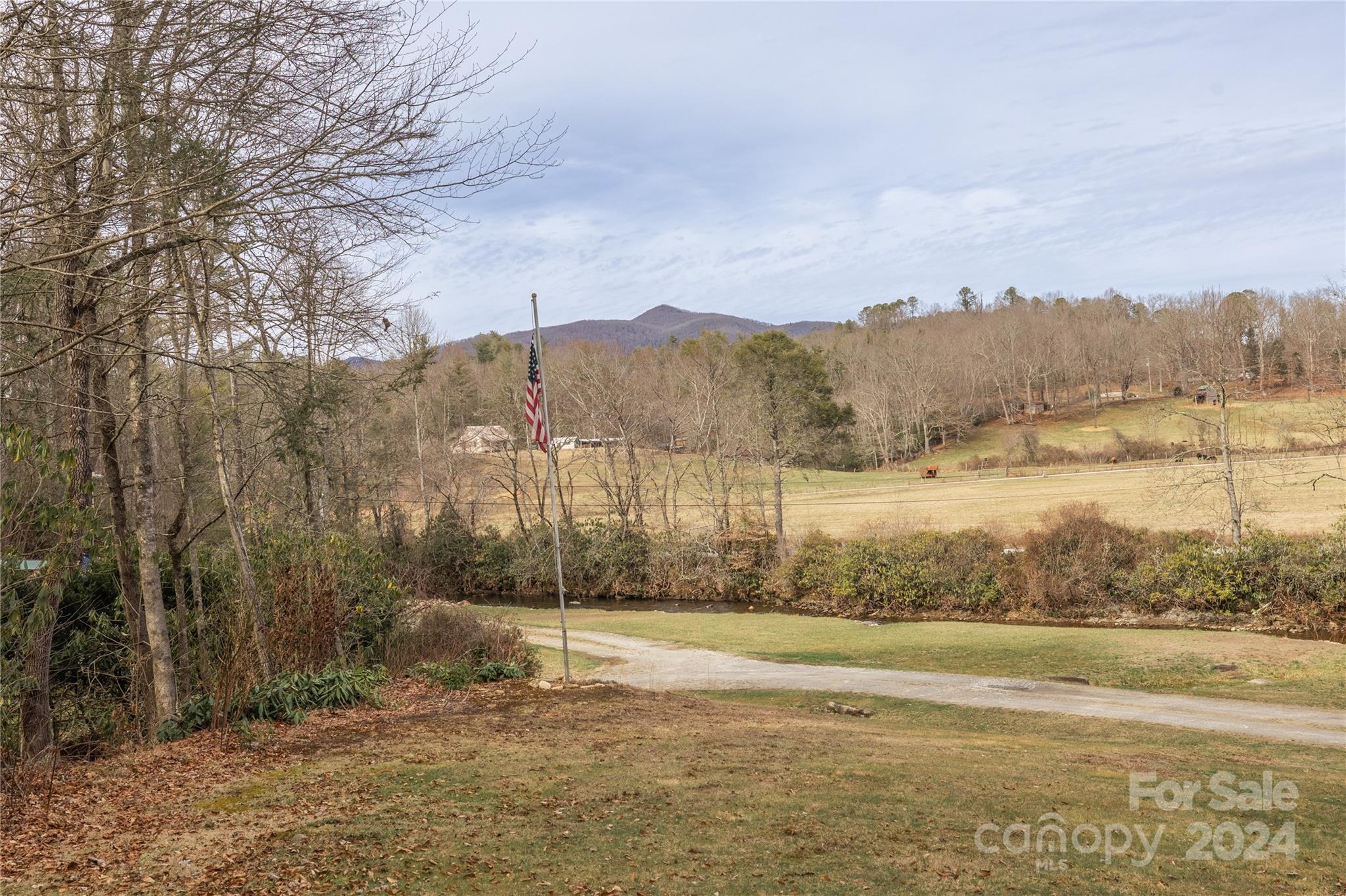 46 Peggy Ridge Road Balsam Grove, NC 28708 - Photo 5 of 44 Gallery Image 5