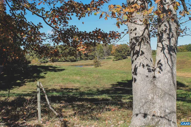 a big yard with lots of green space and house