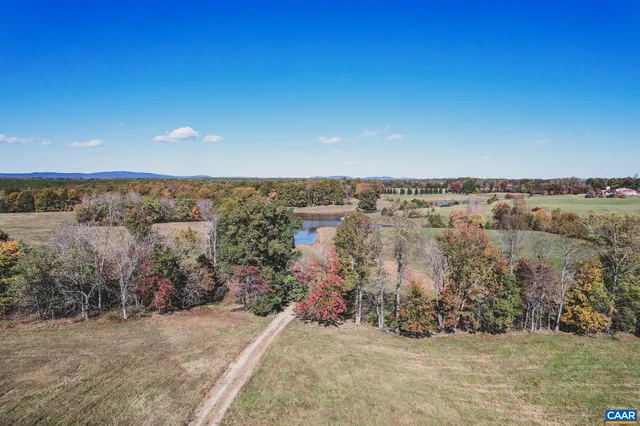 a view of outdoor space and trees