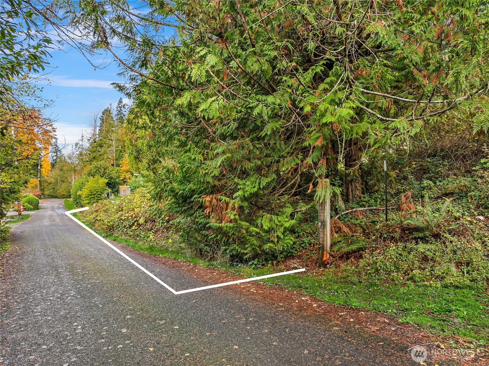 9674 Olympus Beach Road Northeast Bainbridge Island, WA 98110 - Photo 5 of 21 a view of a garden