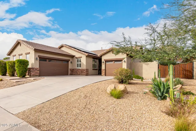 a view of a backyard with large trees and plants