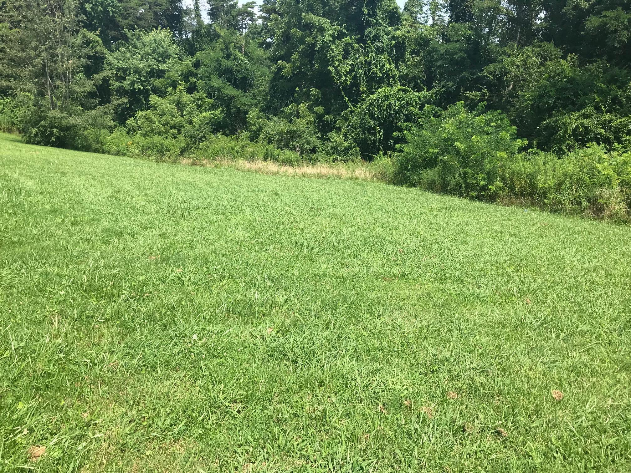 271 Cross Road Dunlap, TN 37327 - Photo 15 of 19 Cross 13
