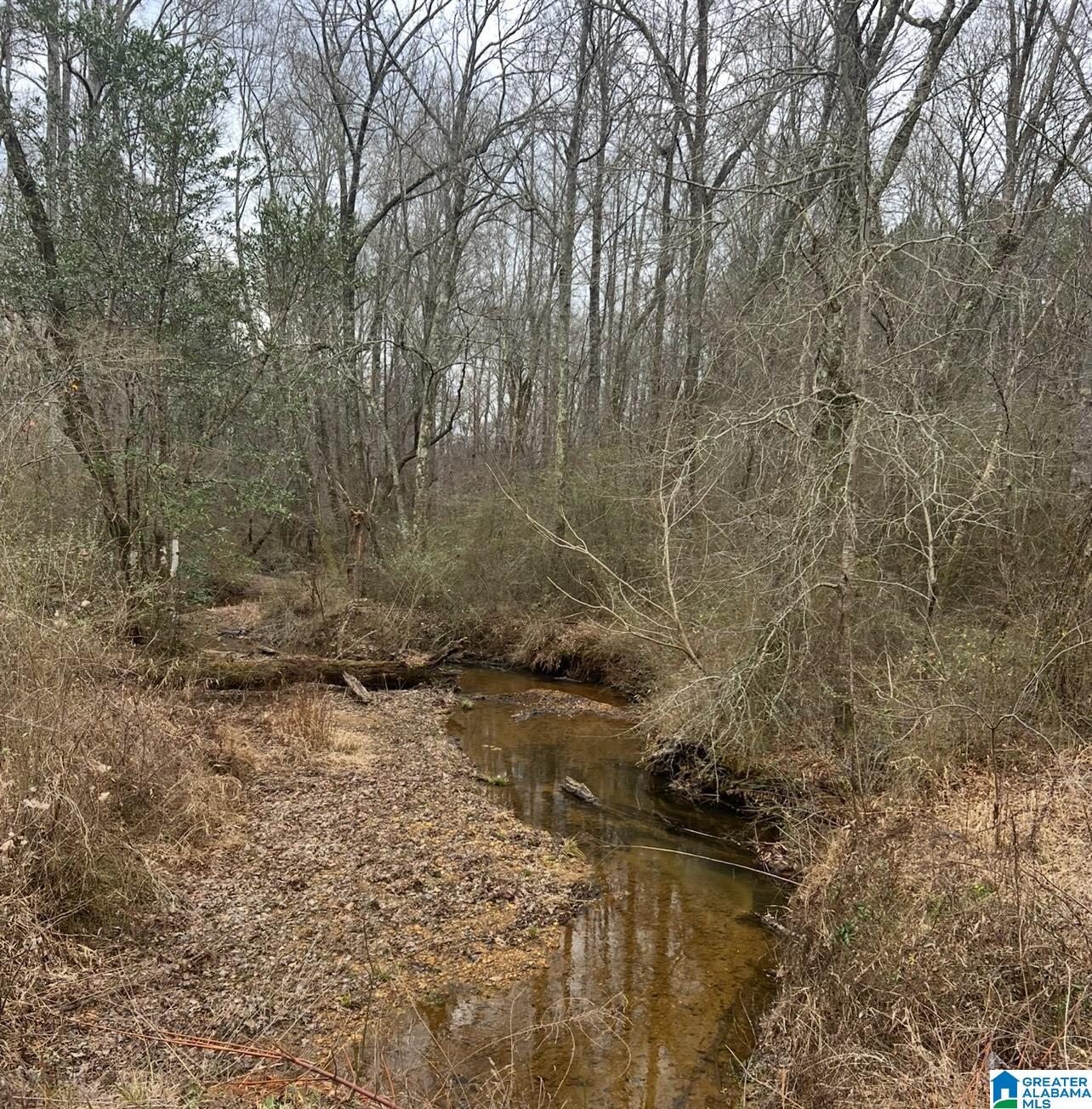 438 Christiana Church Road Talladega, AL 35160 - Photo 47 of 47