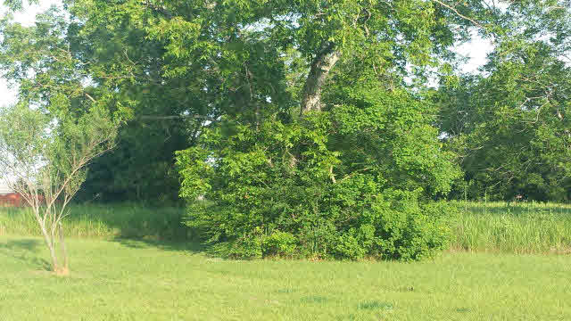 0 Orlando Drive Foley, AL 36535 - Photo 1 of 1
