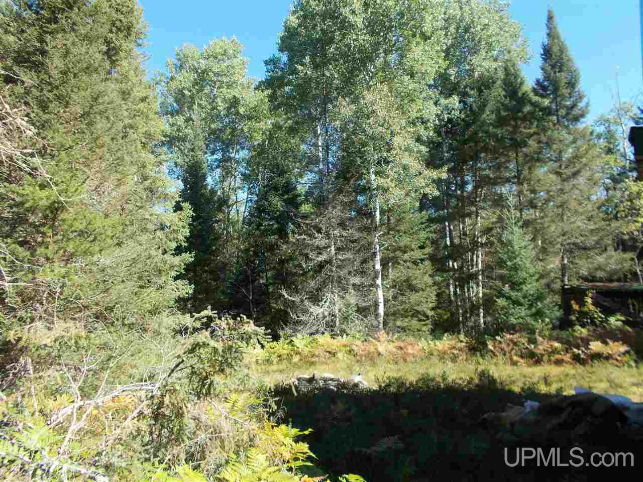 80-acres Co Rd Ffw Republic, MI 49879 - Photo 16 of 21