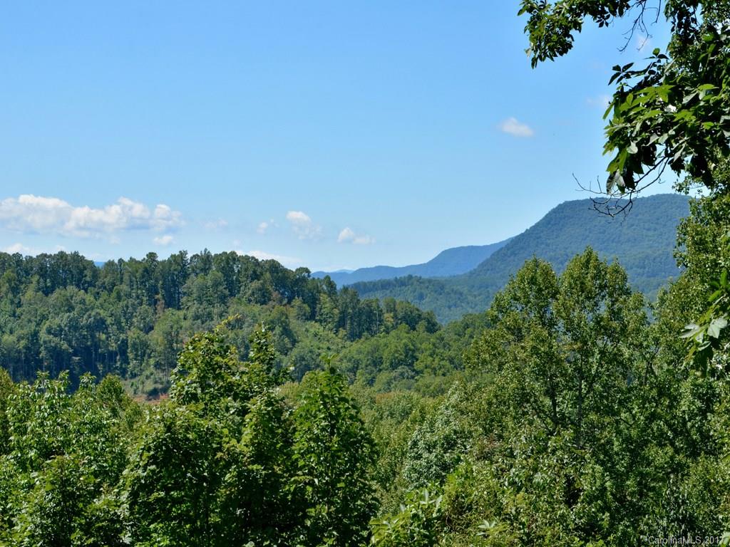 531 Old Dummy Line Road Balsam, NC 28707 - Photo 2 of 12 Gallery Image 2