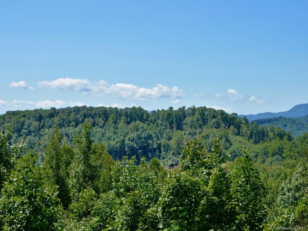 531 Old Dummy Line Road Balsam, NC 28707 - Photo 3 of 12 Gallery Image 3