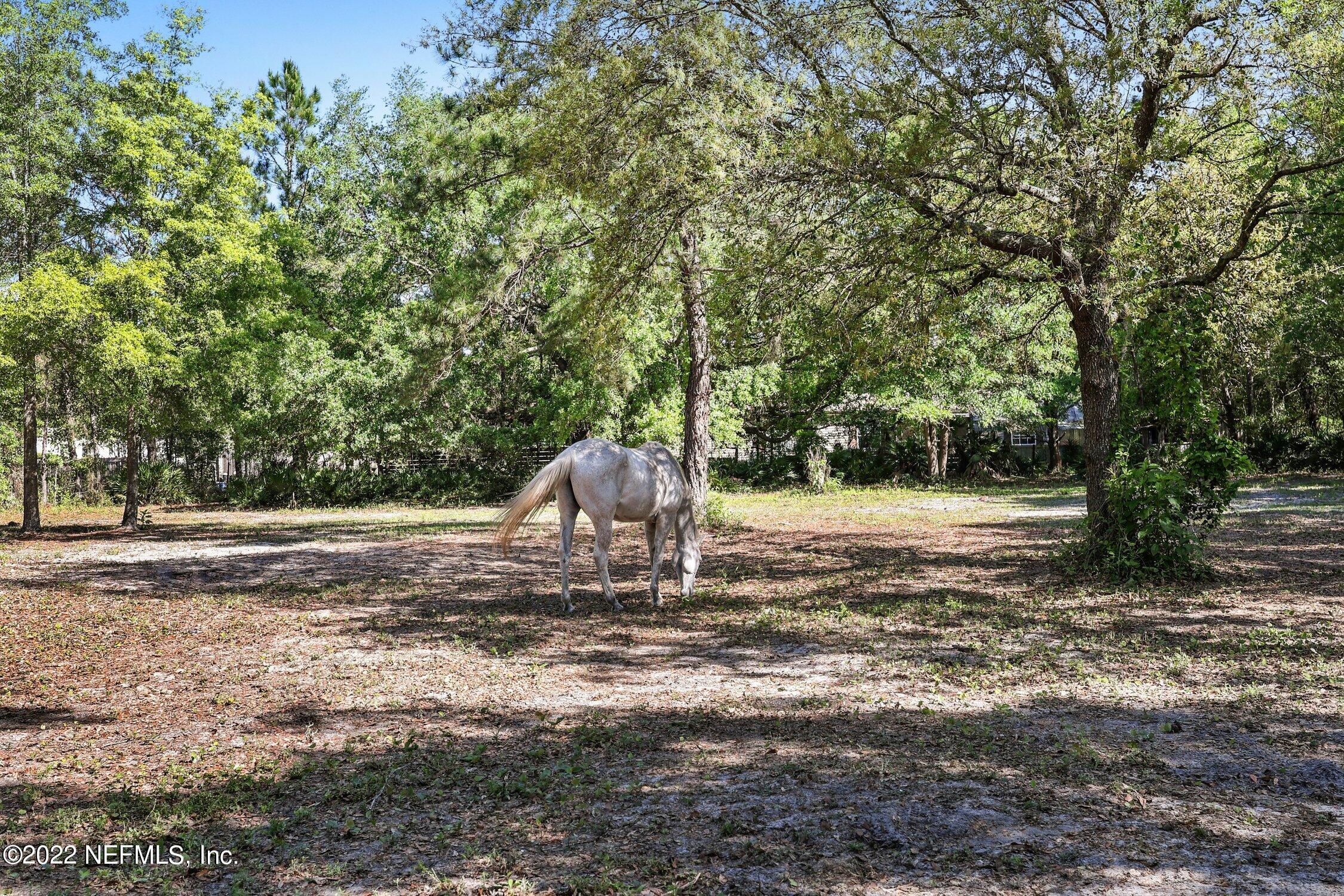 5678 Maverick Road Middleburg, FL 32068 - Photo 47 of 74 94933990-AC5E-4B16-B837-F7A858D2004E