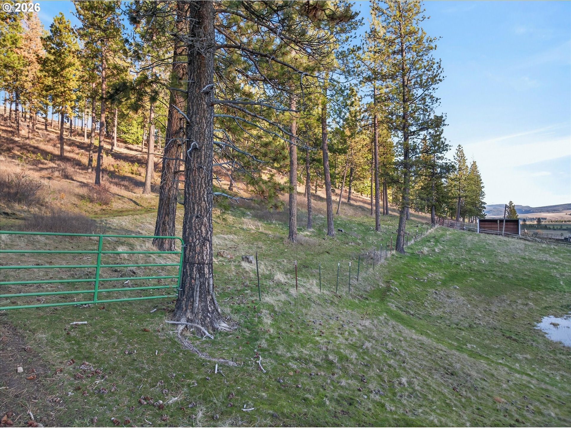 71459 Valley View Road Elgin, OR 97827 - Photo 45 of 48