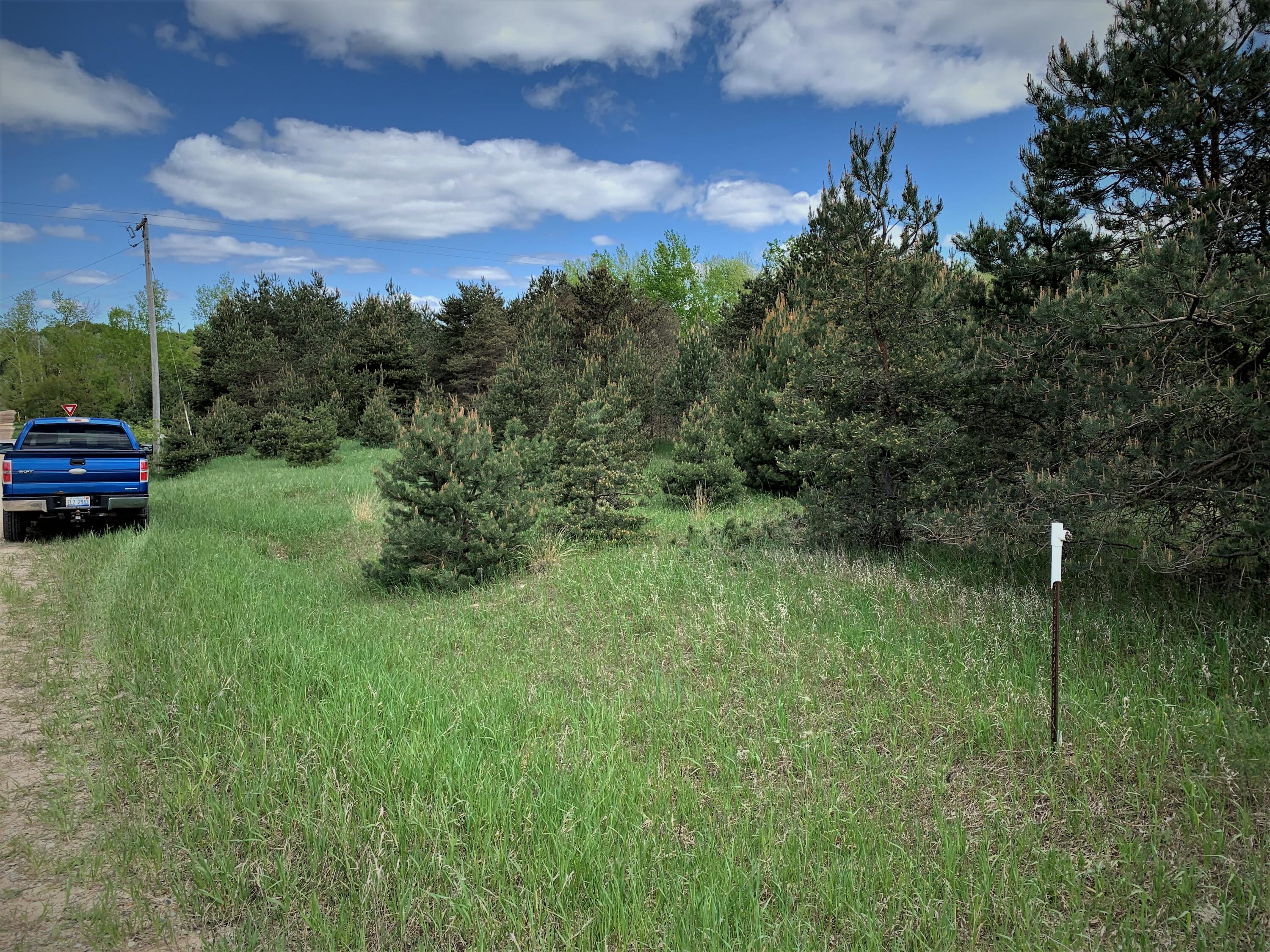 20 East Rd Manton Mi 49633 Road Fife Lake, MI 49633 - Photo 5 of 8 Gallery Image 5