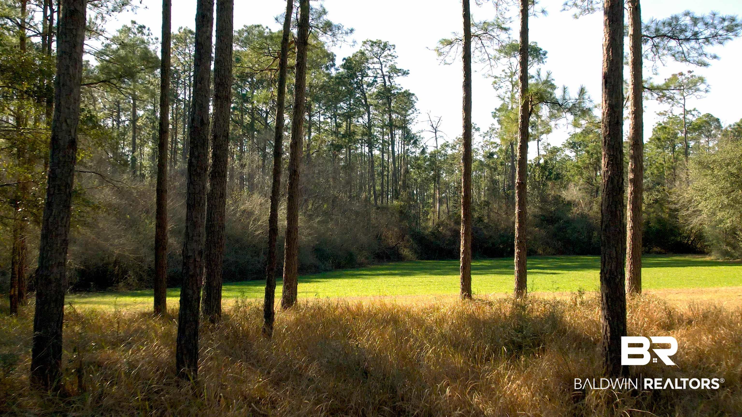 19025 -A Greek Cemetery Road Robertsdale, AL 36567 - Photo 44 of 50