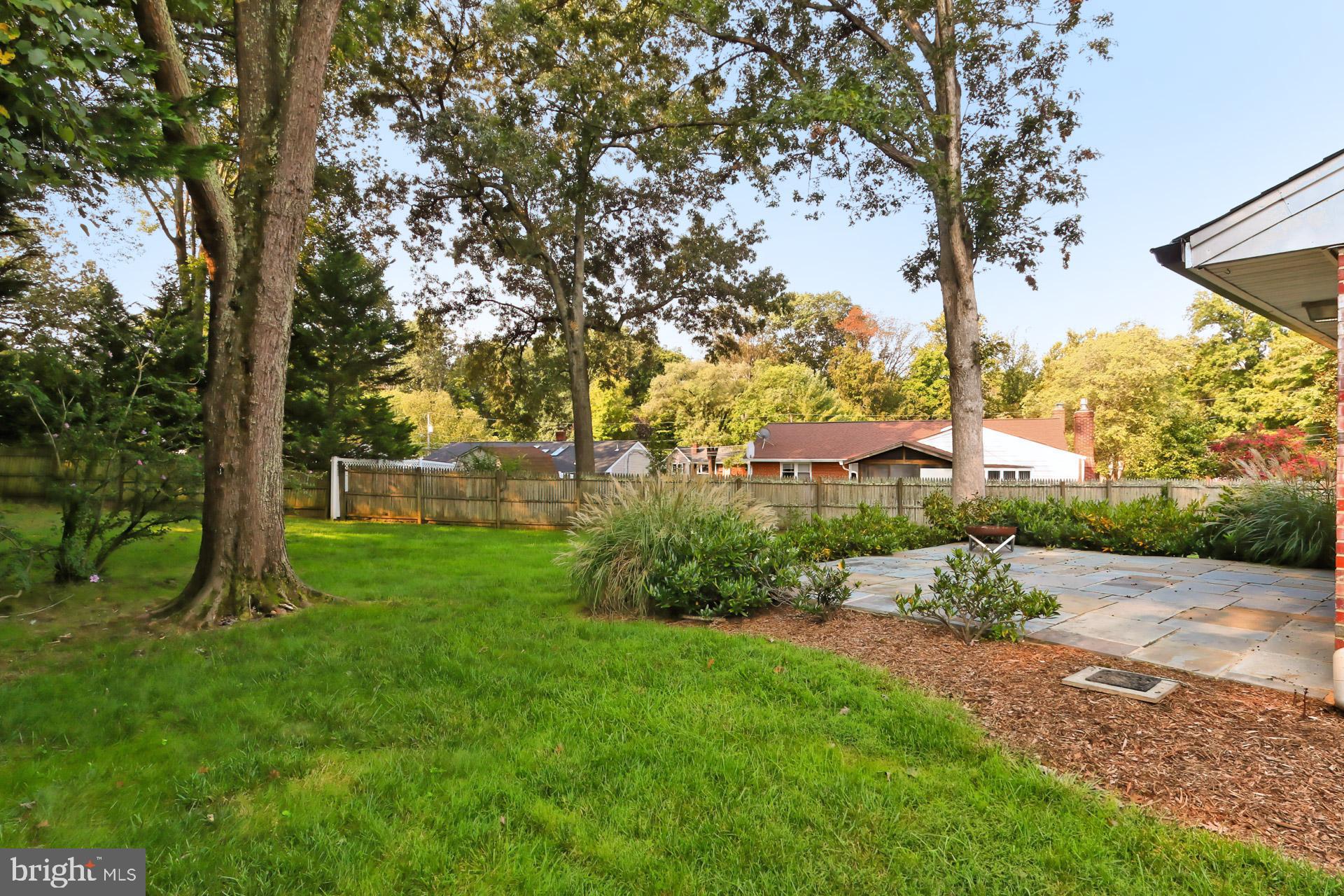8139 Drayton Lane Springfield, VA 22151 - Photo 36 of 44 View from Side Yard
