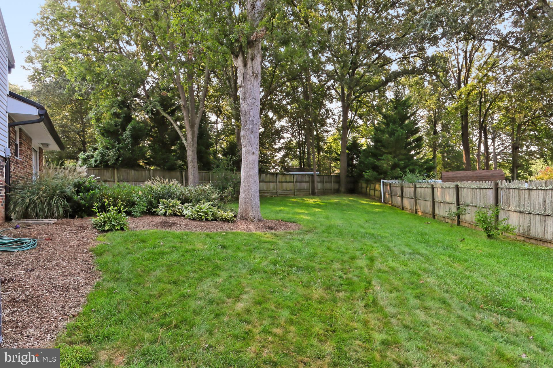 8139 Drayton Lane Springfield, VA 22151 - Photo 40 of 44 View From Side Yard