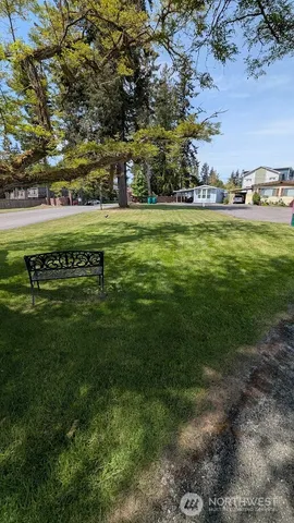 a big yard with lots of green space and trees
