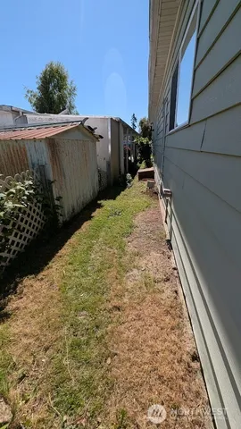 a view of a backyard