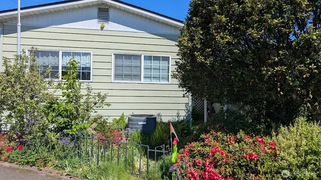 a view of a potted plant in front of a house